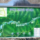 민주지산자연휴양림야영장 이미지