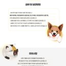 펫잇보리 이미지