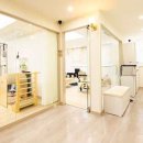 서래김밥 이미지