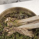 진주 초전동 신상 갈비탕 소갈비살 맛집 갈속집 방문 후기