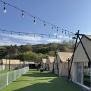 7475 | 청도 신난다애견글램핑/ 가성비 애견동반글램핑 솔직후기