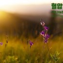 동녁농장 이미지