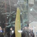 월드플라워 이미지