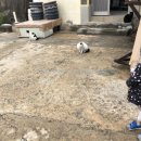 한소리마을회관 이미지