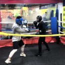 미추홀복싱클럽 이미지