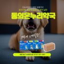 현대온누리동물약국 이미지