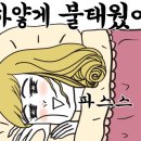 우아하개 이미지
