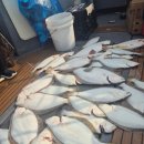 씨엔텔 민박 이미지