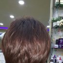 머리향기미용실 이미지