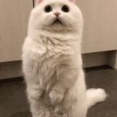 길목슈퍼 이미지