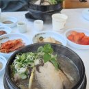 주왕산삼계탕 | 구미 삼계탕 맛집 주왕산삼계탕 본점