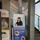 [안양 평촌/내돈내산] led펌포인트연장 맛집 &#39;멜로즈 뷰티 안양평촌점&#39;