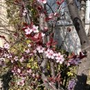 베르크농장 이미지