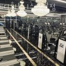 스테디 휘트니스 청북점 이미지