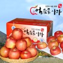 얼음골유통 연합뉴스