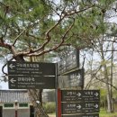 부소산성 낙화암 갈림길 이미지