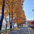 설성공원 이미지