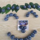 온양농협하나로마트발리점 이미지