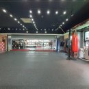 홍성Y복싱클럽 이미지