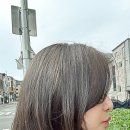 로헤어 네이버블로그