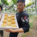 해남농장2 이미지