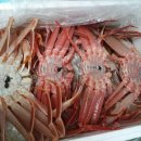 인영수산 이미지