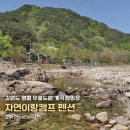 평창듀오애견수영장계곡펜션 | 강원도 영월 무릉도원 계곡캠핑장 추천, 자연이랑캠프 펜션
