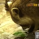 디자인생각 이미지