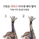 [2024. 상반기 퇴근학습길] 내 마음의 꽃 봄 | 2026 상반기 야호~