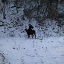 깜순이농장 이미지