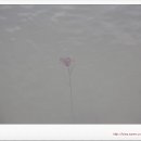 대물낚시 이미지