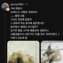 보배떡집