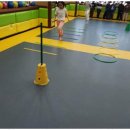 맹호 합기도 이미지