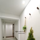 지니84디자인 이미지