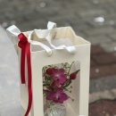 송은영유반외과의원 이미지