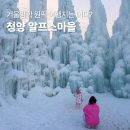 알프스얼음보석궁전 | 겨울방학 여행지 원픽! 청양 알프스마을 얼음분수축제 꿀팁