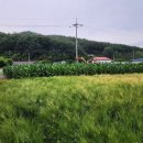 현내2리 이미지