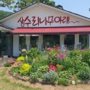 청주 낭성 맛집 청주 돼지갈비 맛집 상수리나무아래 가마구이 - 충청북도 청주시