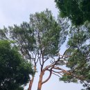 월천1리마을회관 이미지