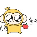 미용도소매 이미지