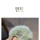 밴드에코 이미지