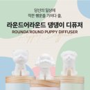 편안한 댕 이미지