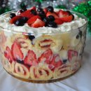 트라이플 이미지