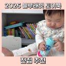 인성토이 | 아기 전집 추천 2025 블루래빗 토이북 플레이 세트