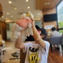 장재영외과동물병원 이미지