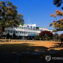 곡성-171 이미지