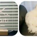 운중로113번길 이미지