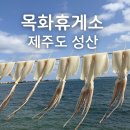 목화휴게소 | 제주 성산 목화휴게소 아이와 들르기 좋은 간단 먹거리 후기