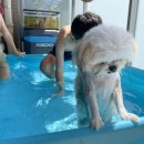 천둥피씨 이미지