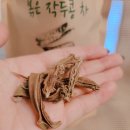 어와농장